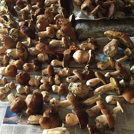 Apartment Geppo San Domenico